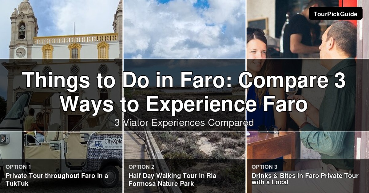 things to do in Faro – three Viator experiences compared