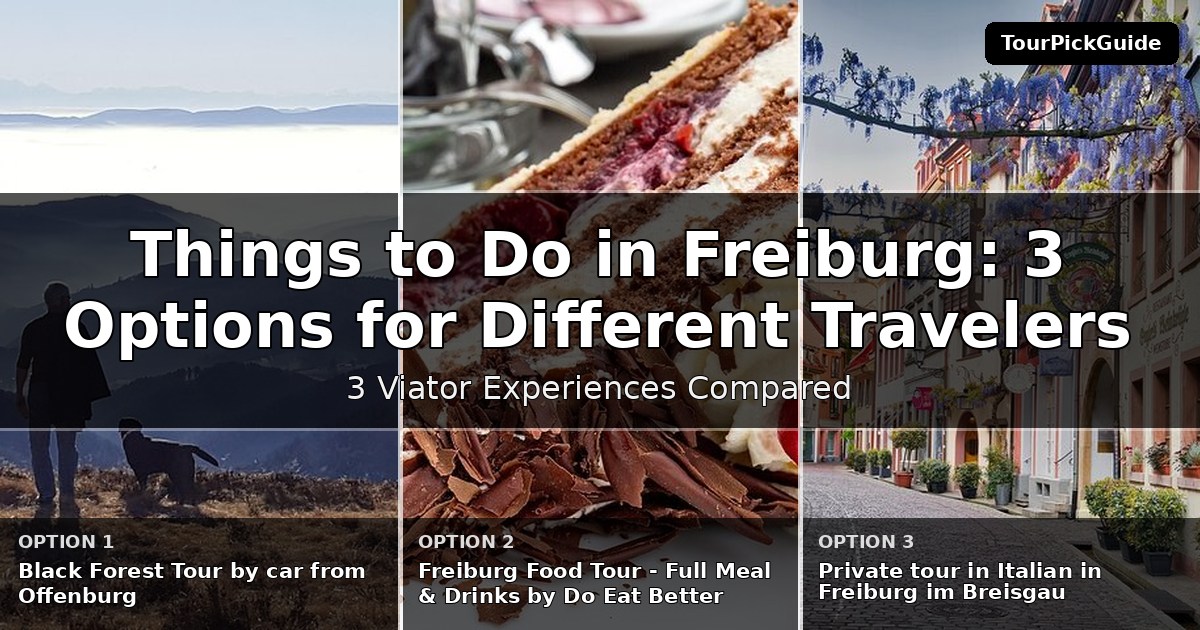things to do in Freiburg – three Viator experiences compared