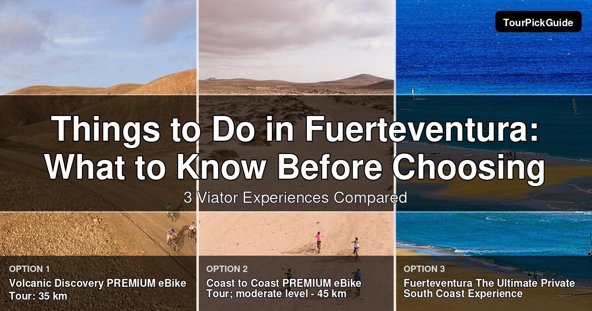 things to do in Fuerteventura – three Viator experiences compared