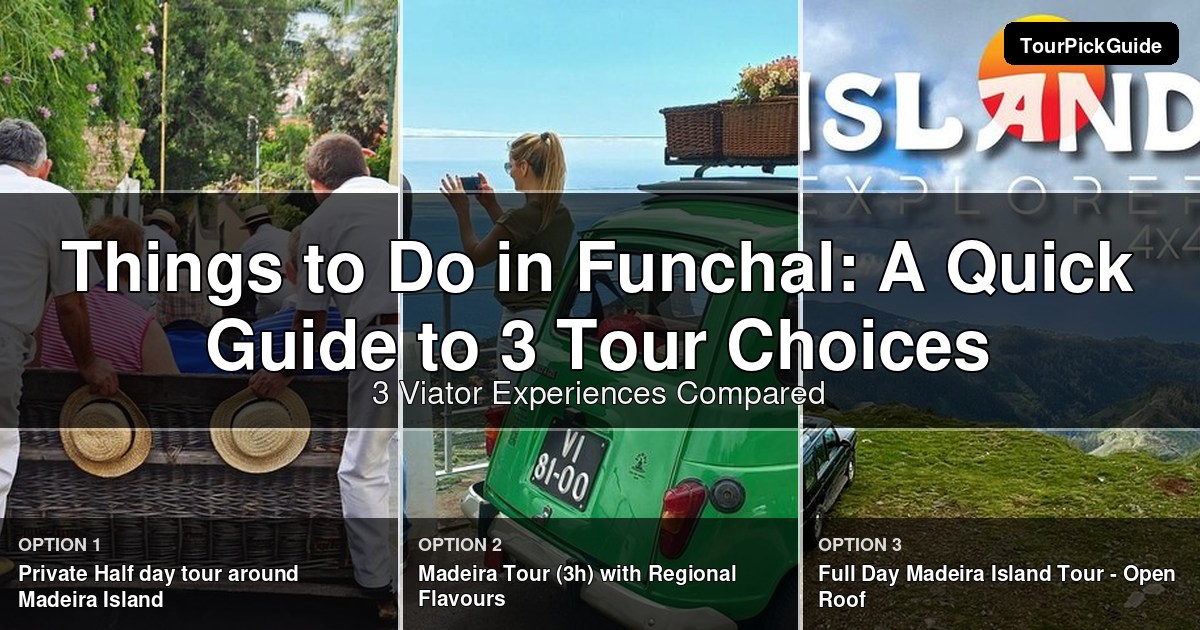 things to do in Funchal – three Viator experiences compared