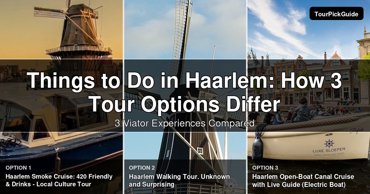 things to do in Haarlem – three Viator experiences compared