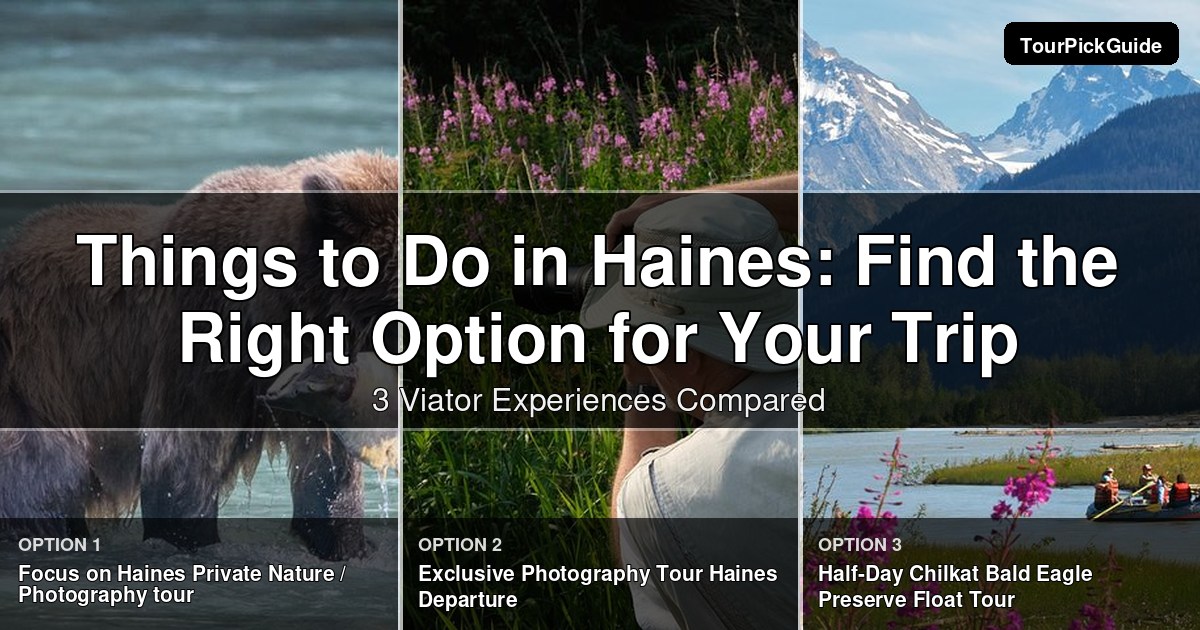 things to do in Haines – three Viator experiences compared