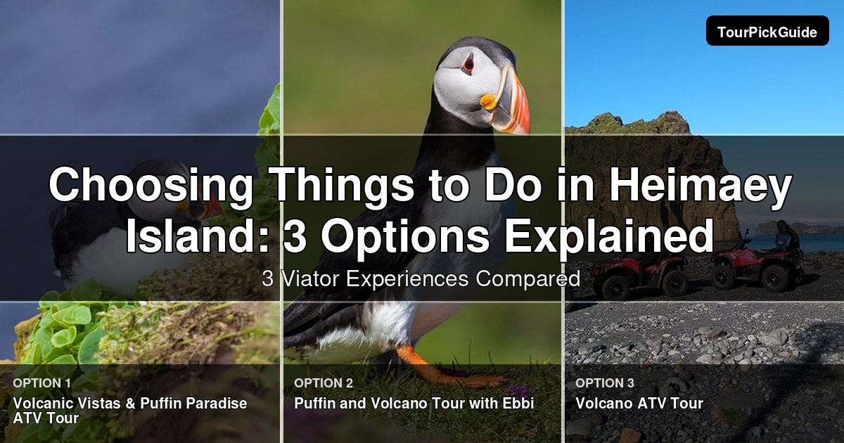 things to do in Heimaey Island – three Viator experiences compared
