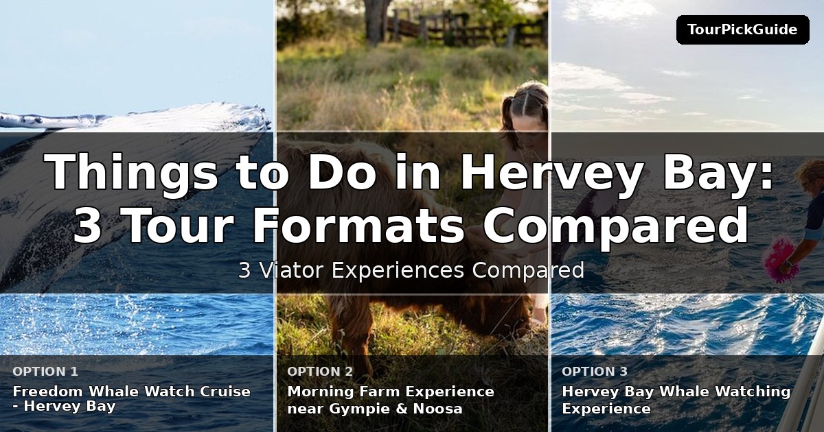 things to do in Hervey Bay – three Viator experiences compared