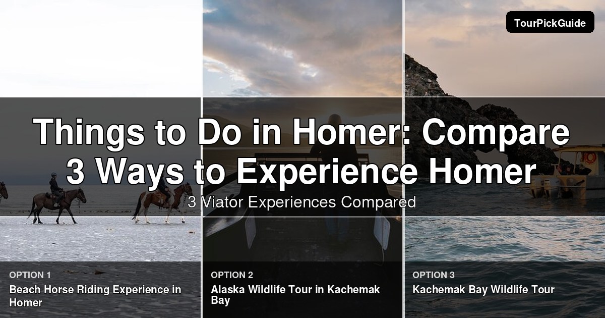 things to do in Homer – three Viator experiences compared