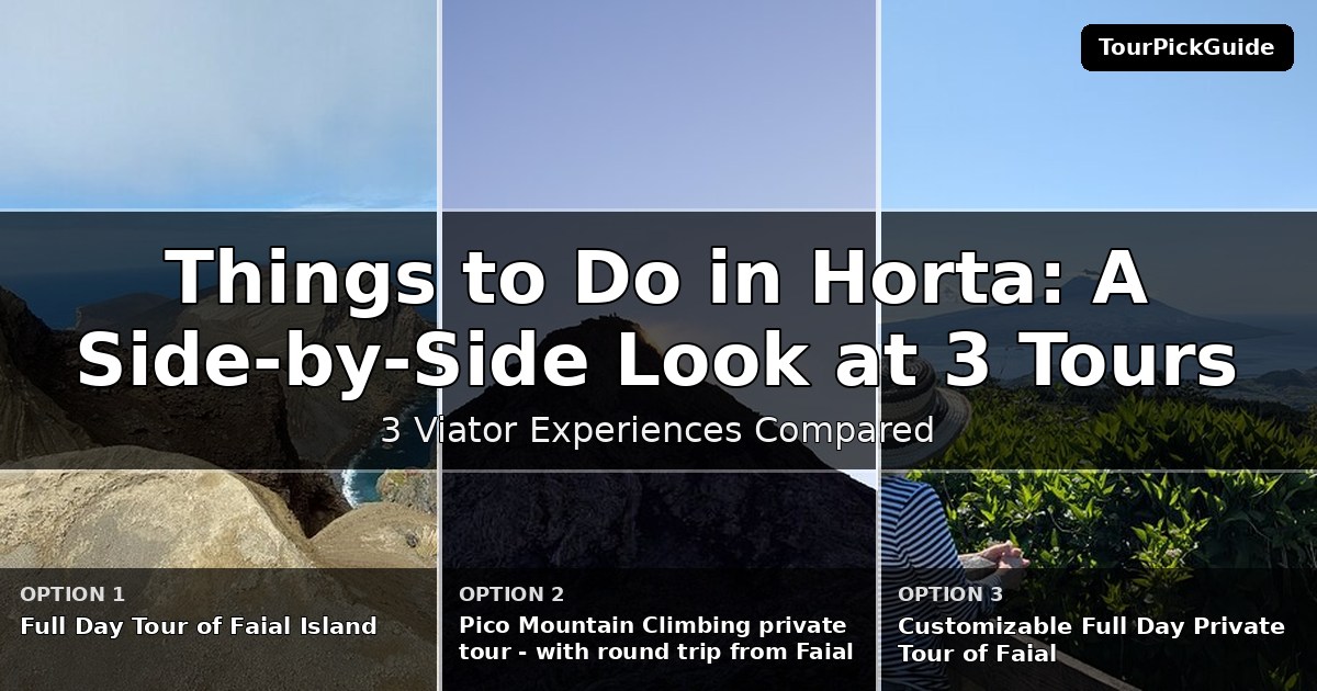 things to do in Horta – three Viator experiences compared
