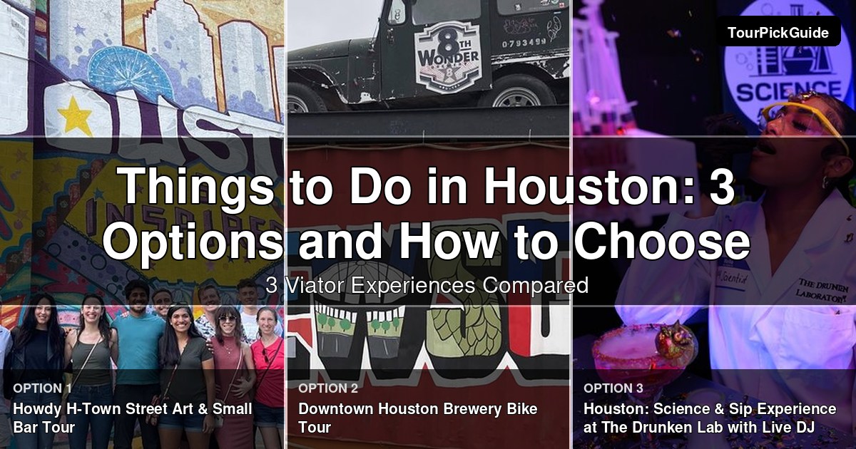 things to do in Houston – three Viator experiences compared