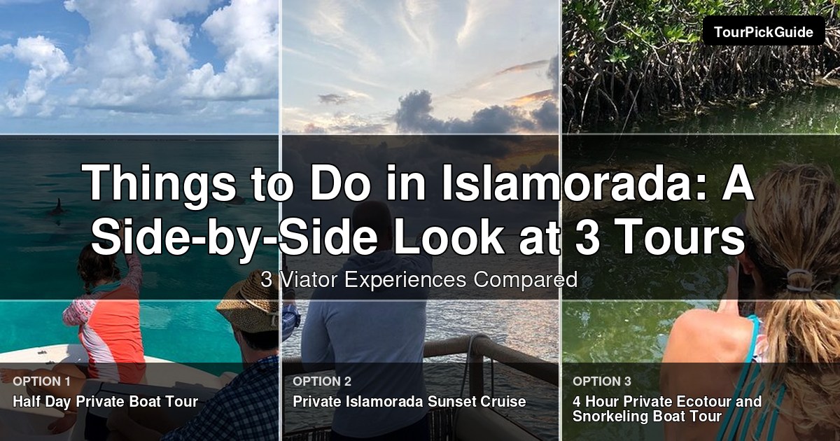 things to do in Islamorada – three Viator experiences compared