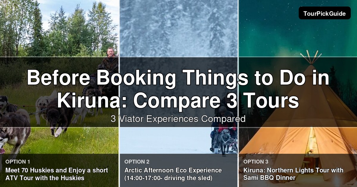 things to do in Kiruna – three Viator experiences compared