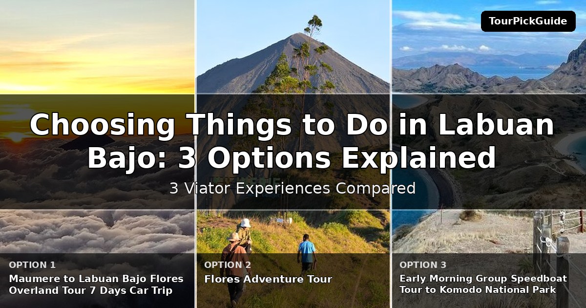 things to do in Labuan Bajo – three Viator experiences compared