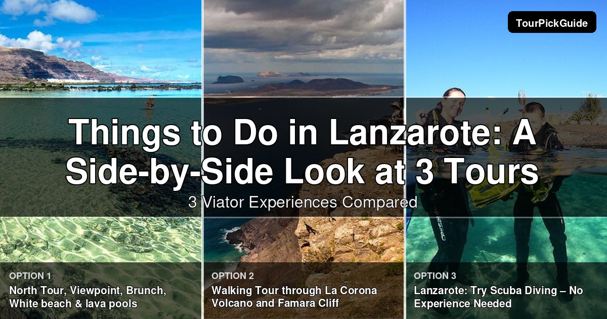 things to do in Lanzarote – three Viator experiences compared