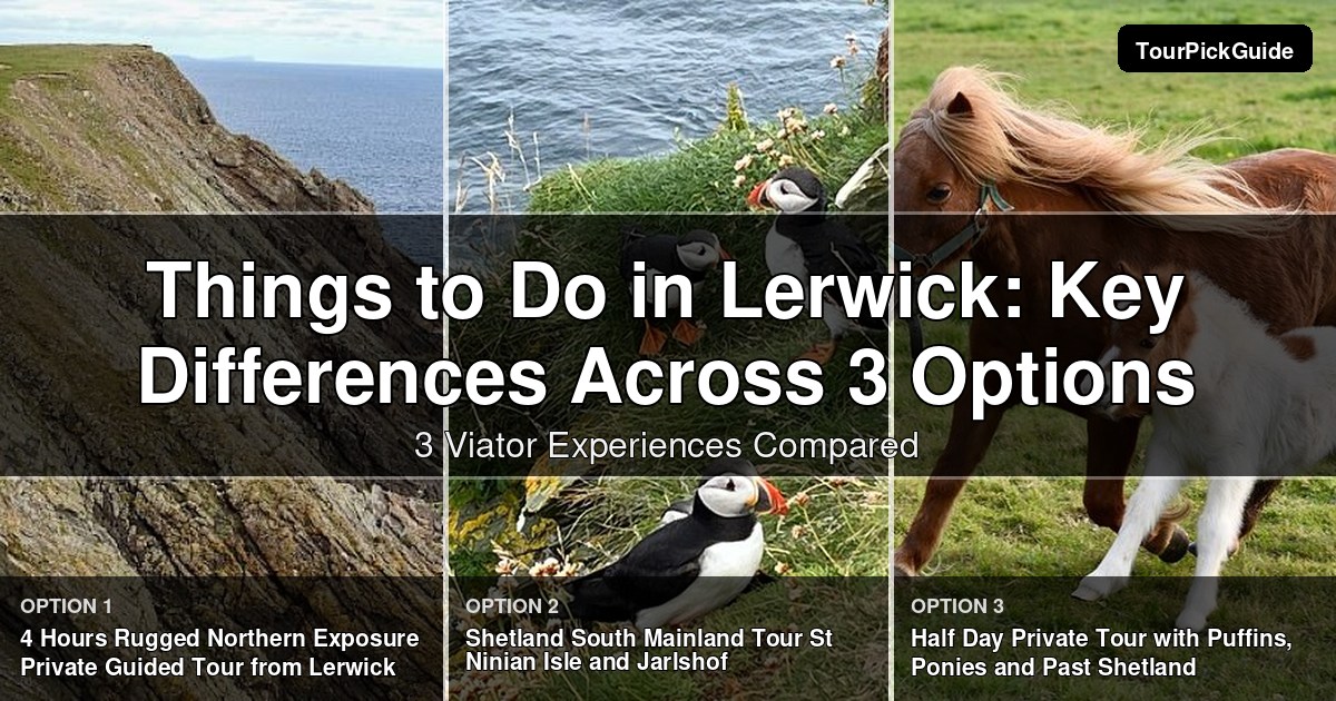 things to do in Lerwick – three Viator experiences compared