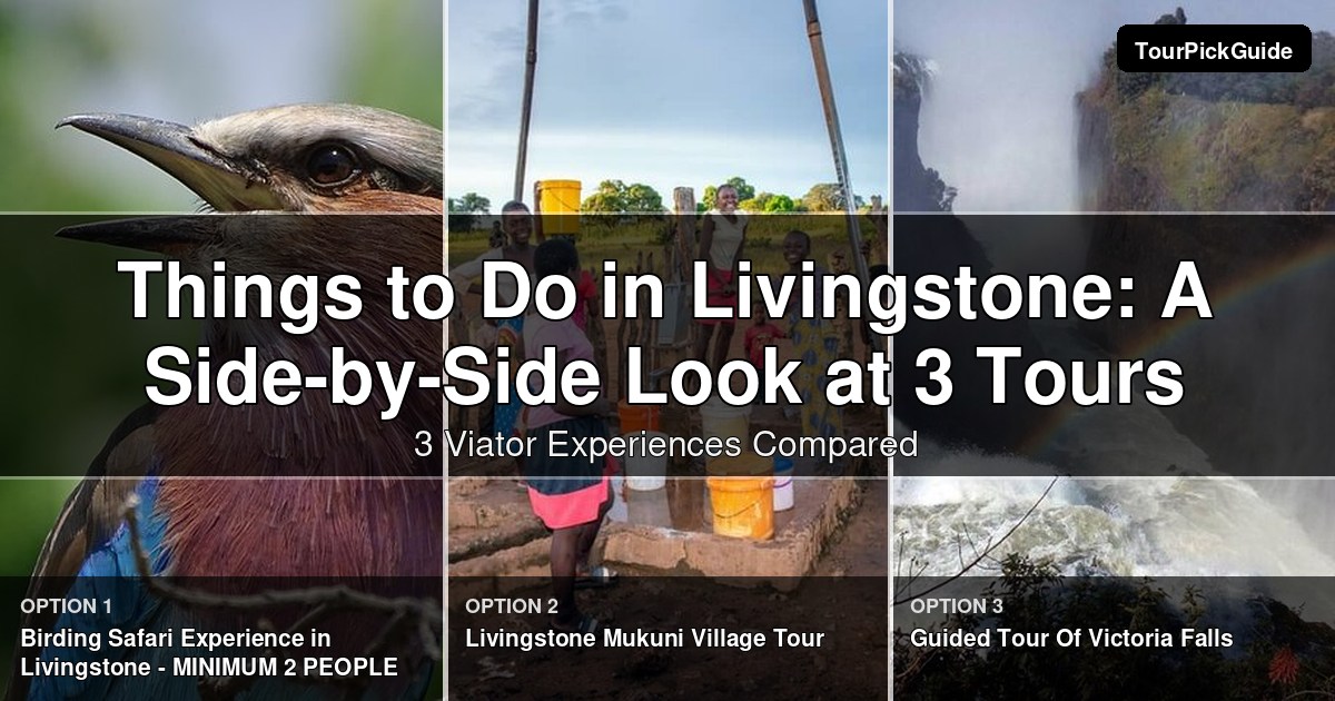 things to do in Livingstone – three Viator experiences compared
