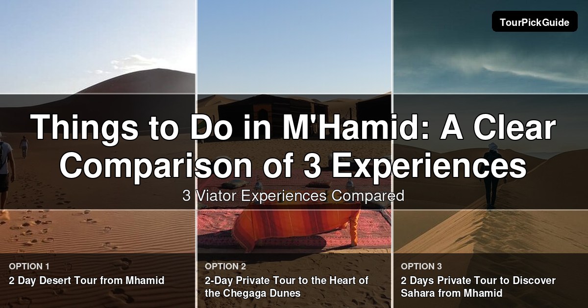 things to do in M'Hamid – three Viator experiences compared