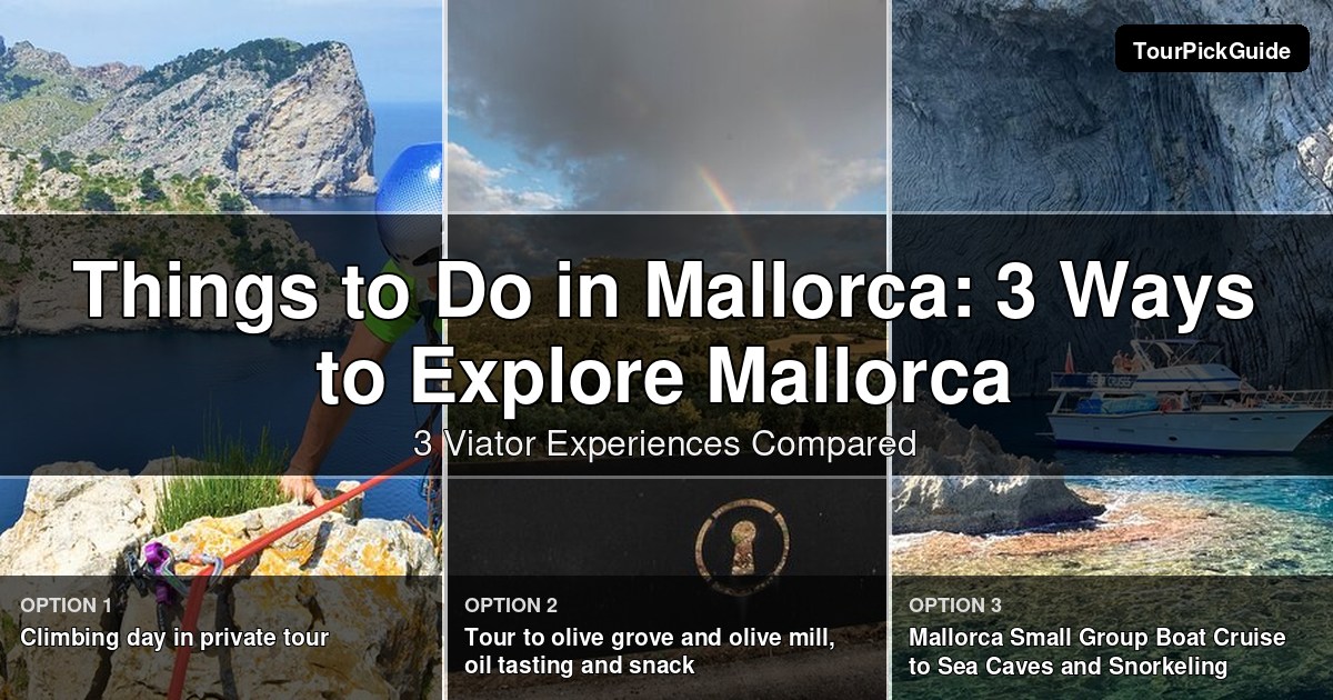 things to do in Mallorca – three Viator experiences compared