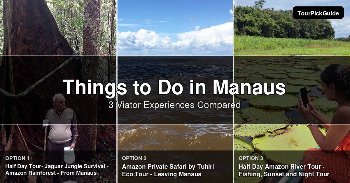 things to do in Manaus – three Viator experiences compared