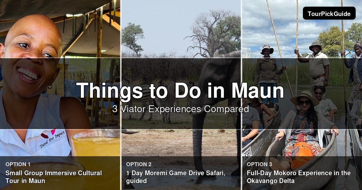 things to do in Maun – three Viator experiences compared