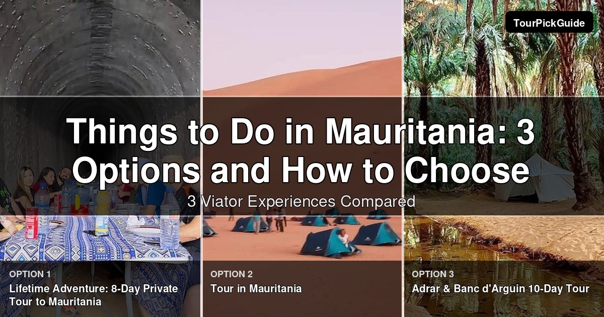 things to do in Mauritania – three Viator experiences compared