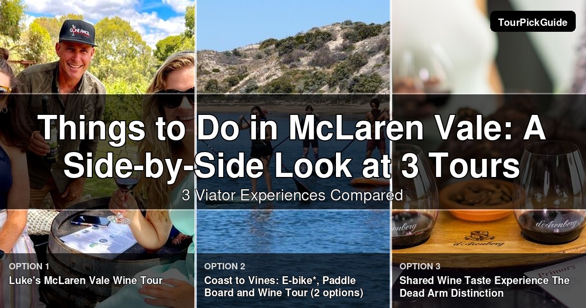 things to do in McLaren Vale – three Viator experiences compared