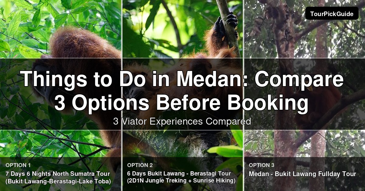 things to do in Medan – three Viator experiences compared