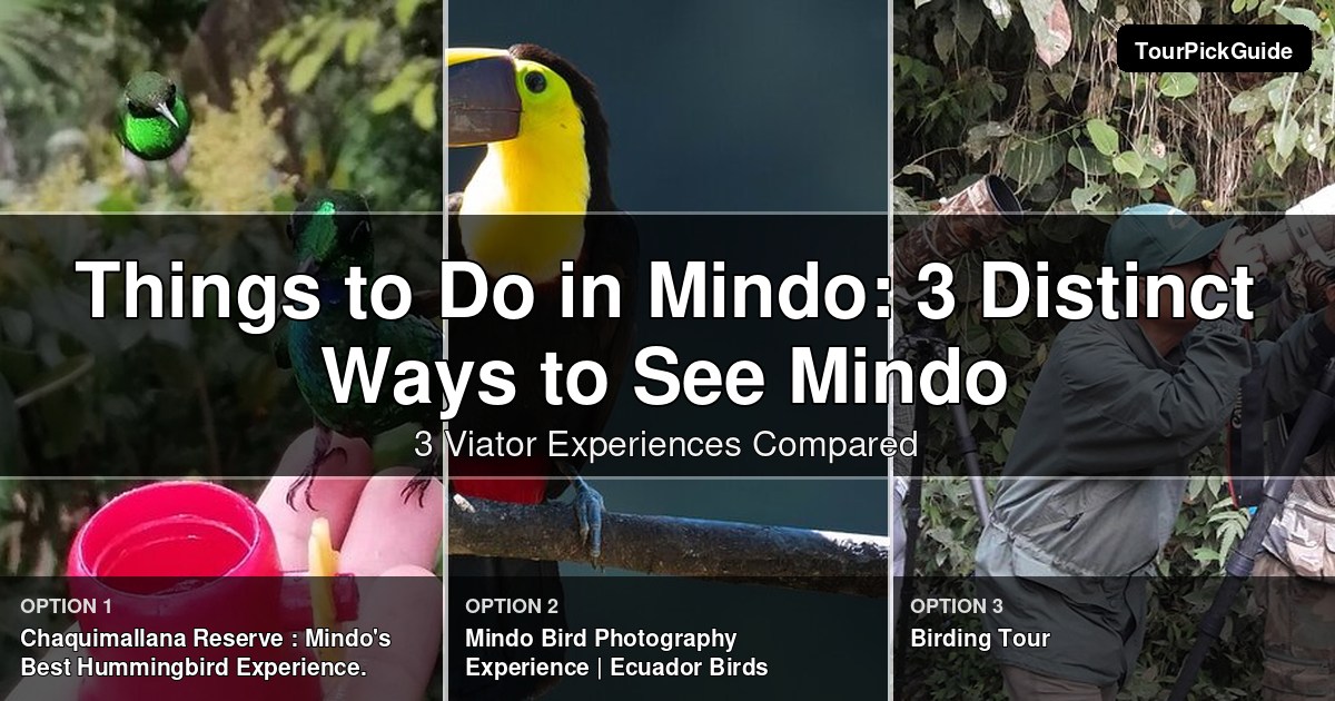 things to do in Mindo – three Viator experiences compared