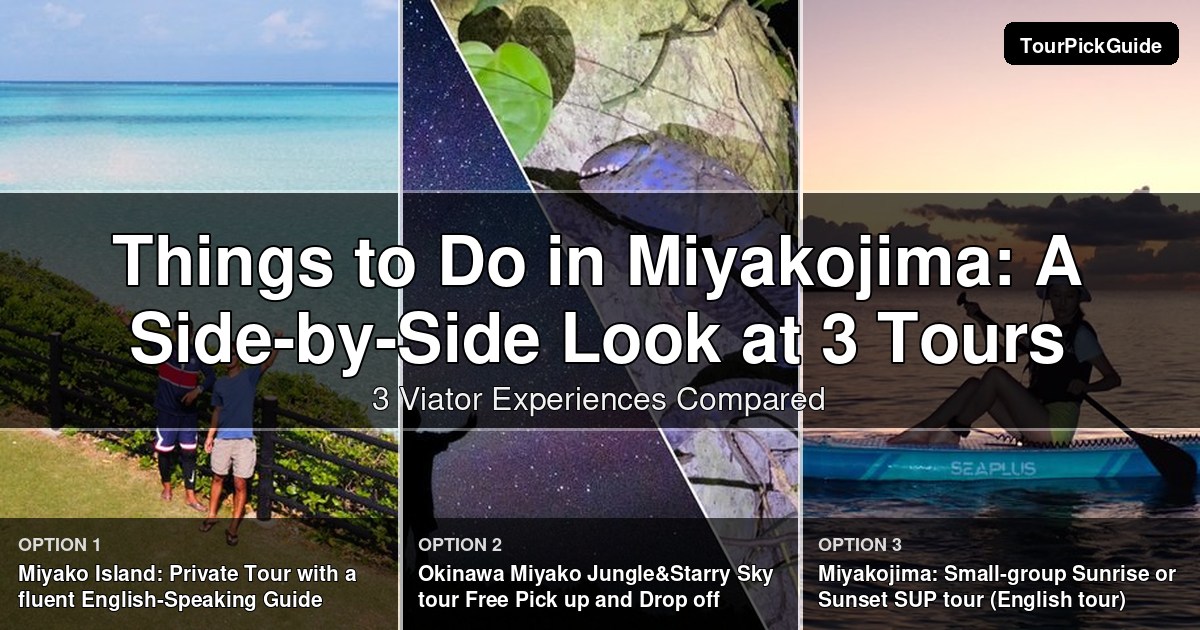 things to do in Miyakojima – three Viator experiences compared