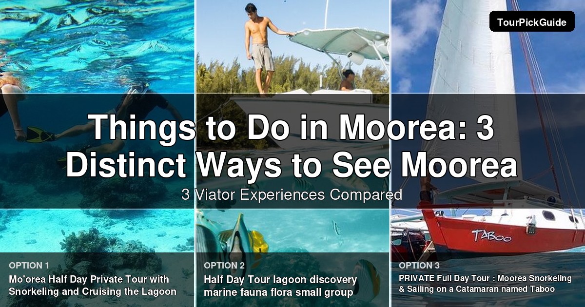 things to do in Moorea – three Viator experiences compared
