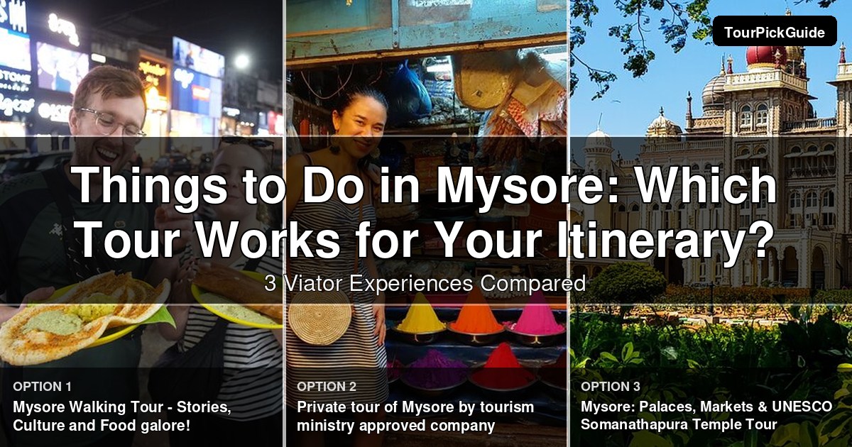 things to do in Mysore – three Viator experiences compared