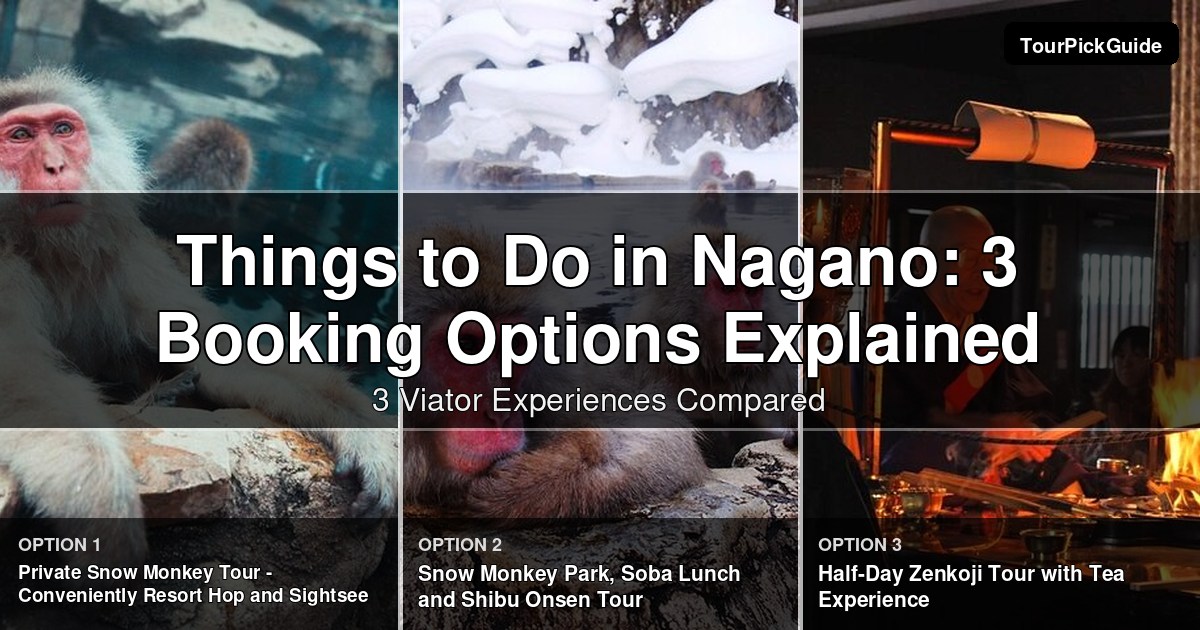 things to do in Nagano – three Viator experiences compared