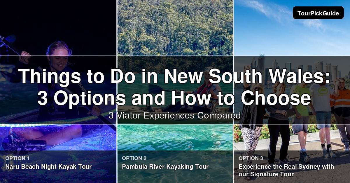 things to do in New South Wales – three Viator experiences compared