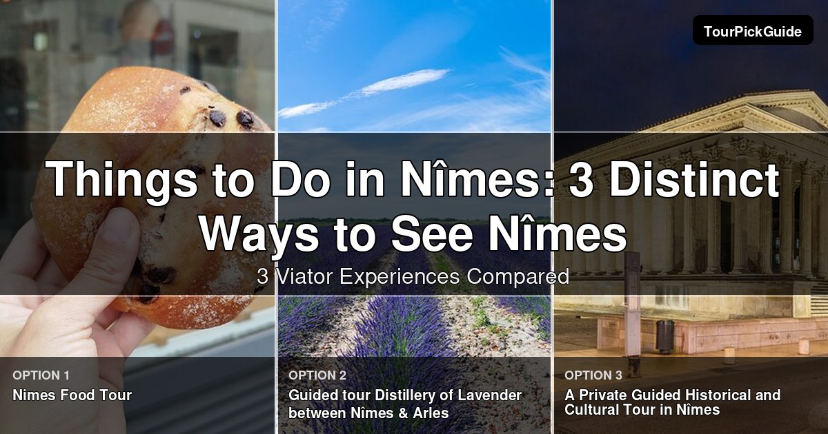 things to do in Nîmes – three Viator experiences compared