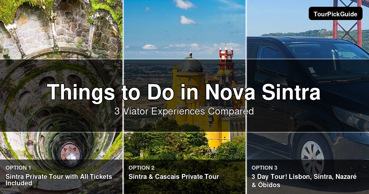 things to do in Nova Sintra – three Viator experiences compared