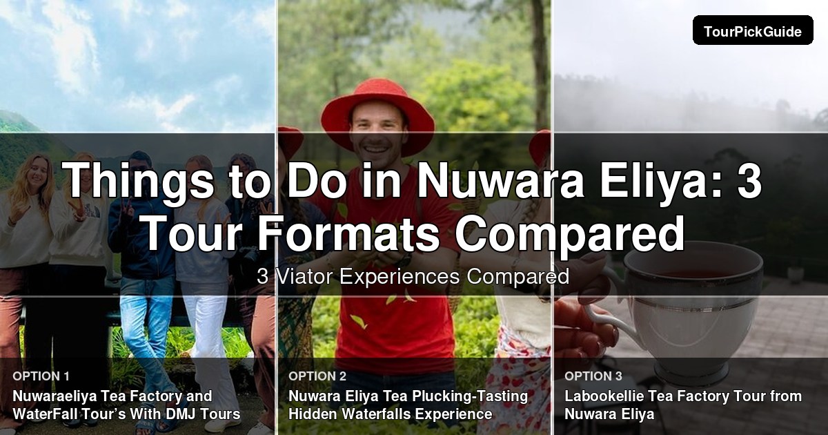 things to do in Nuwara Eliya – three Viator experiences compared