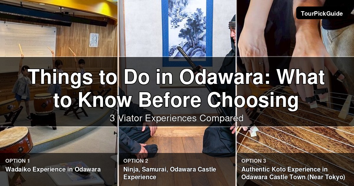 things to do in Odawara – three Viator experiences compared