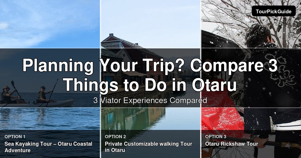 things to do in Otaru – three Viator experiences compared