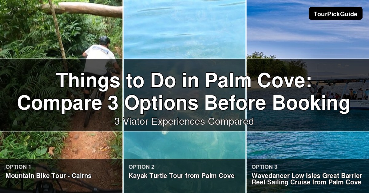 things to do in Palm Cove – three Viator experiences compared
