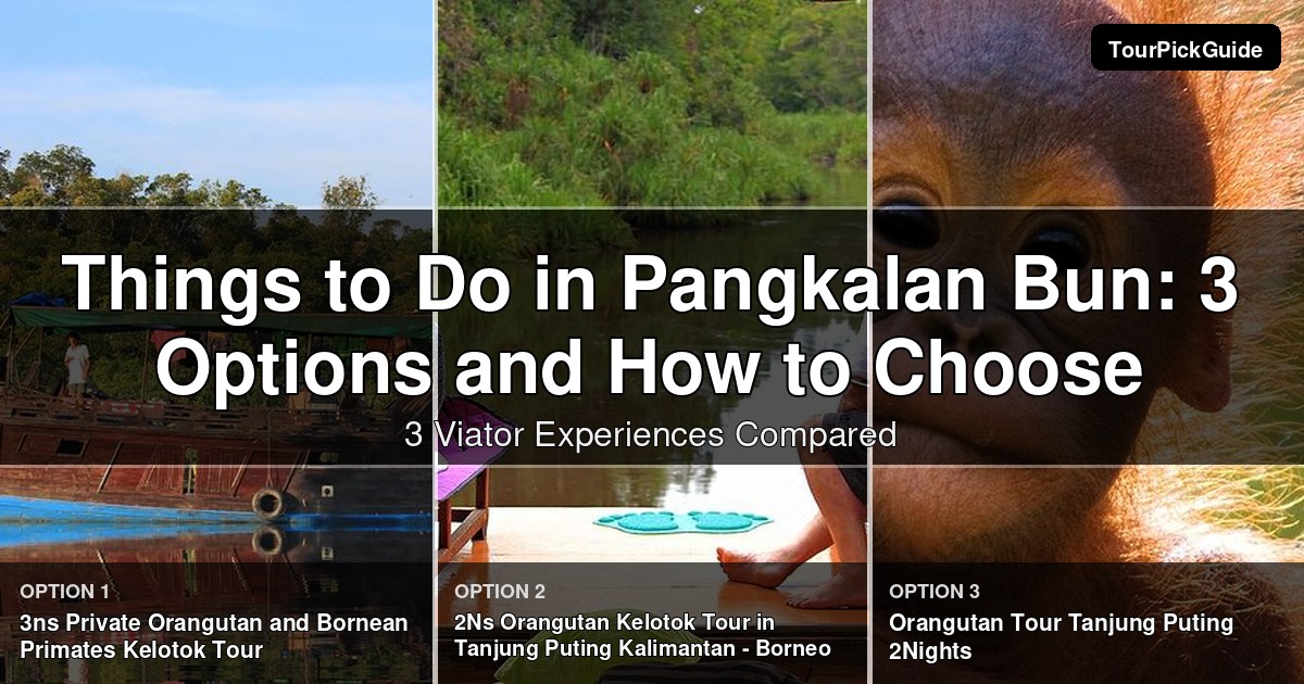 things to do in Pangkalan Bun – three Viator experiences compared