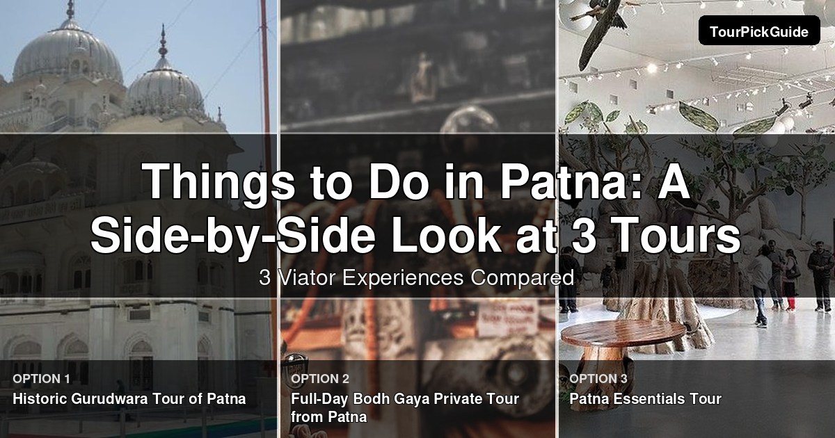 things to do in Patna – three Viator experiences compared