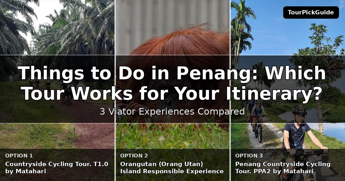 things to do in Penang – three Viator experiences compared