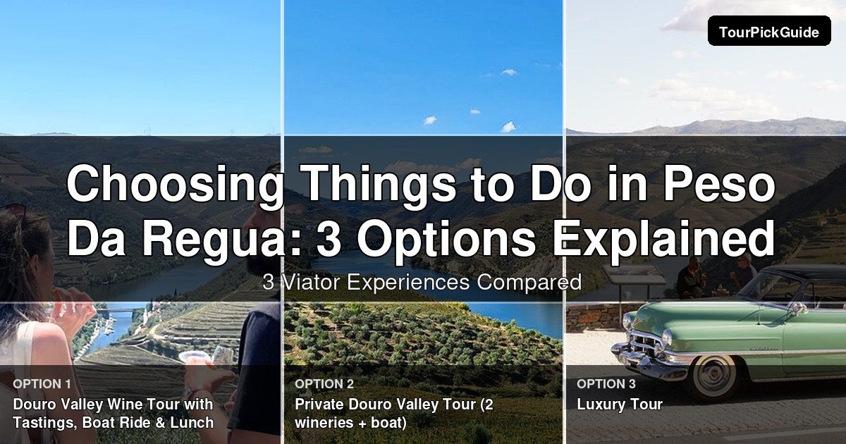 things to do in Peso Da Regua – three Viator experiences compared