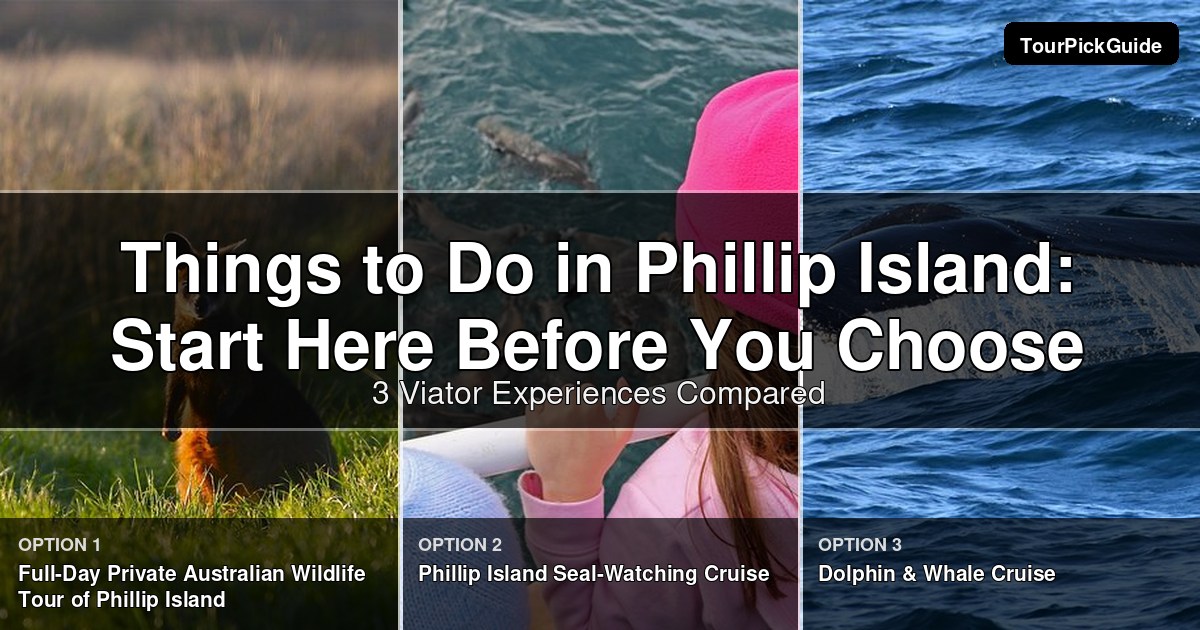 things to do in Phillip Island – three Viator experiences compared