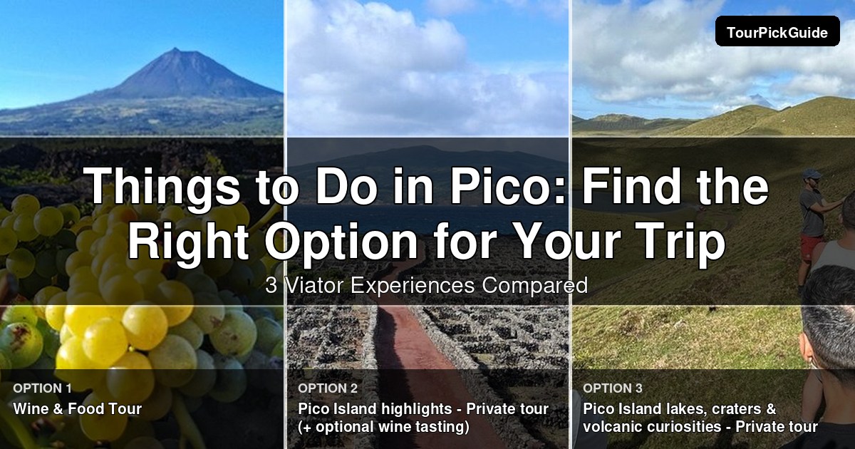 things to do in Pico – three Viator experiences compared