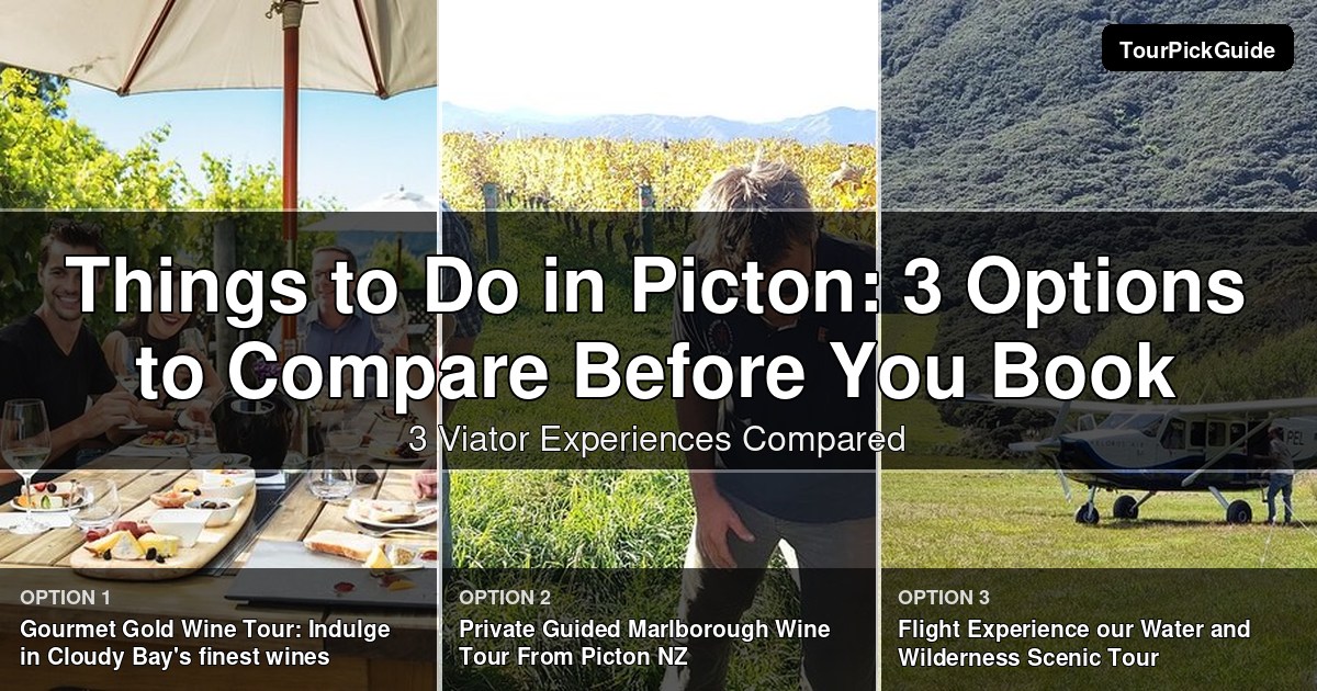 things to do in Picton – three Viator experiences compared