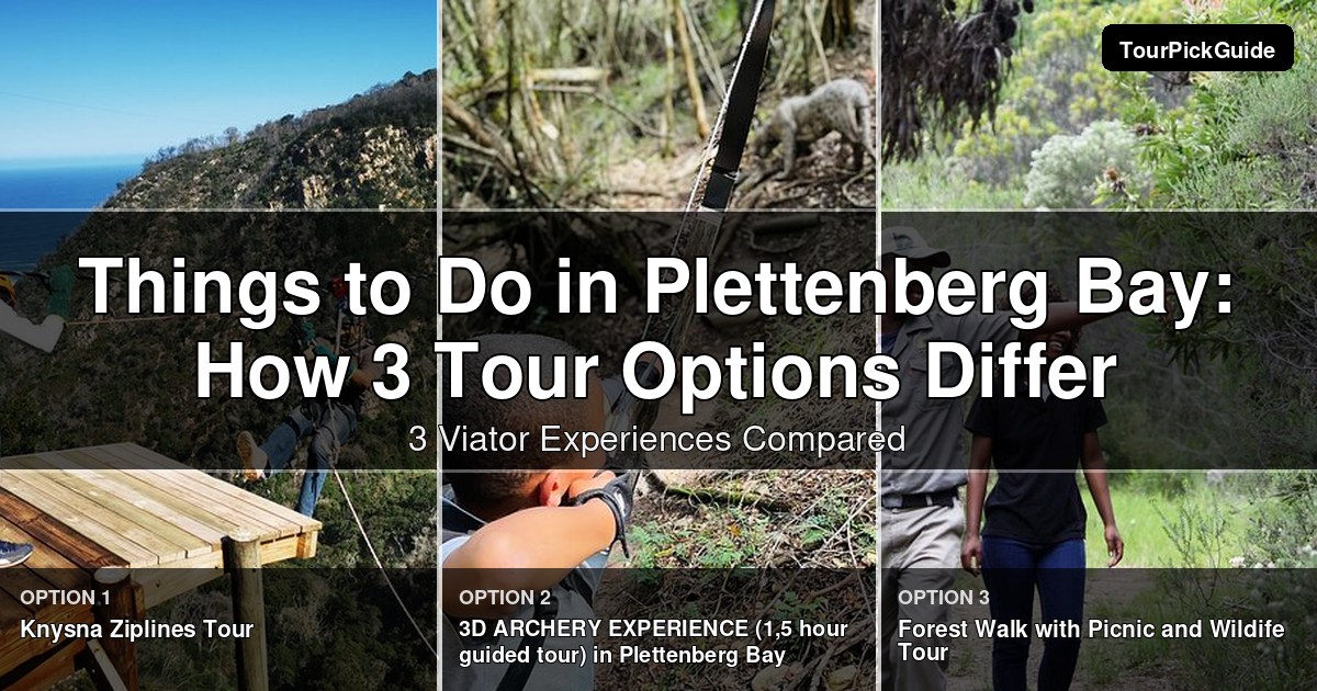 things to do in Plettenberg Bay – three Viator experiences compared