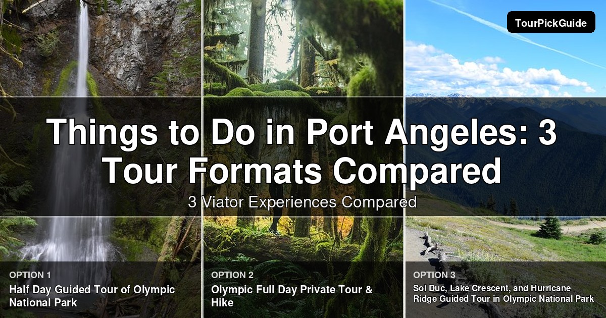 things to do in Port Angeles – three Viator experiences compared