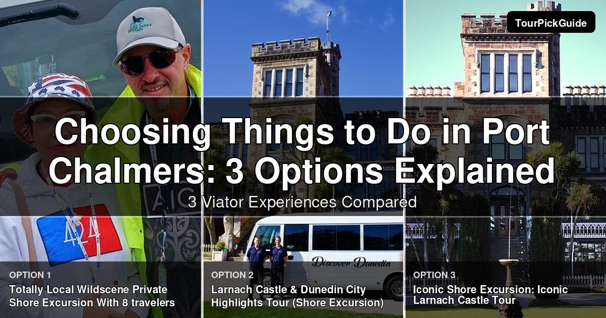 things to do in Port Chalmers – three Viator experiences compared