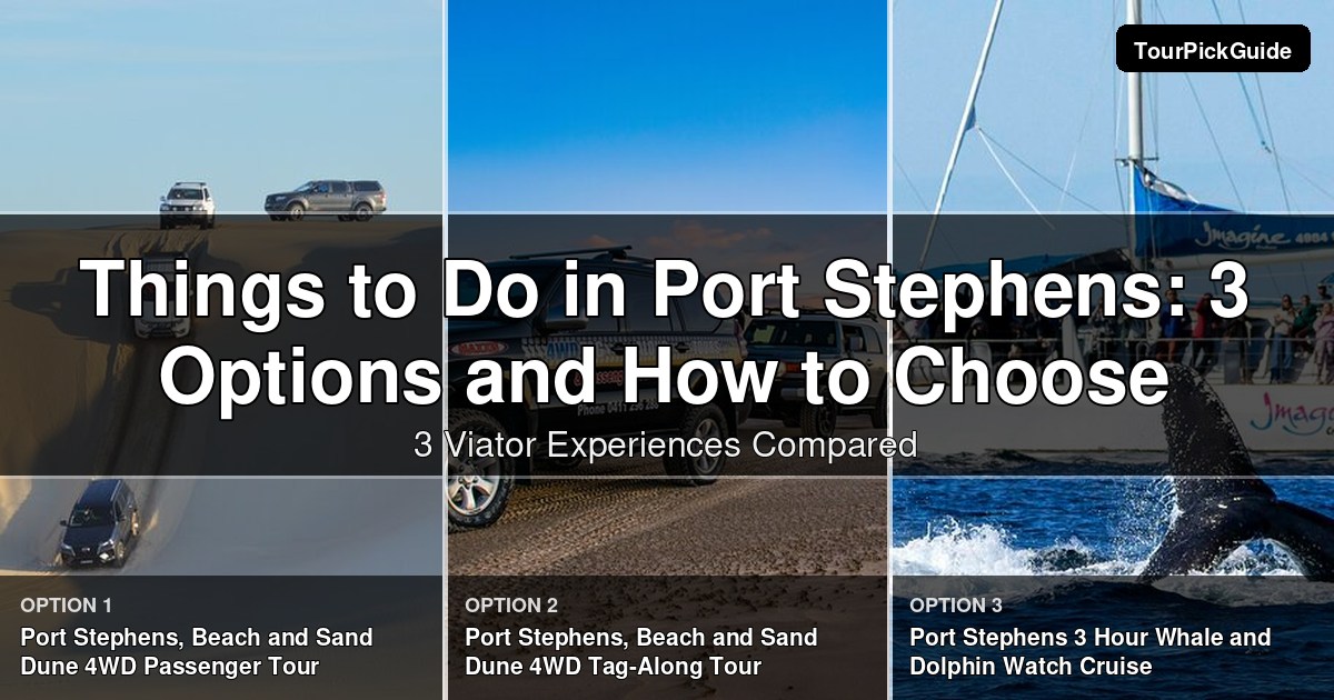 things to do in Port Stephens – three Viator experiences compared