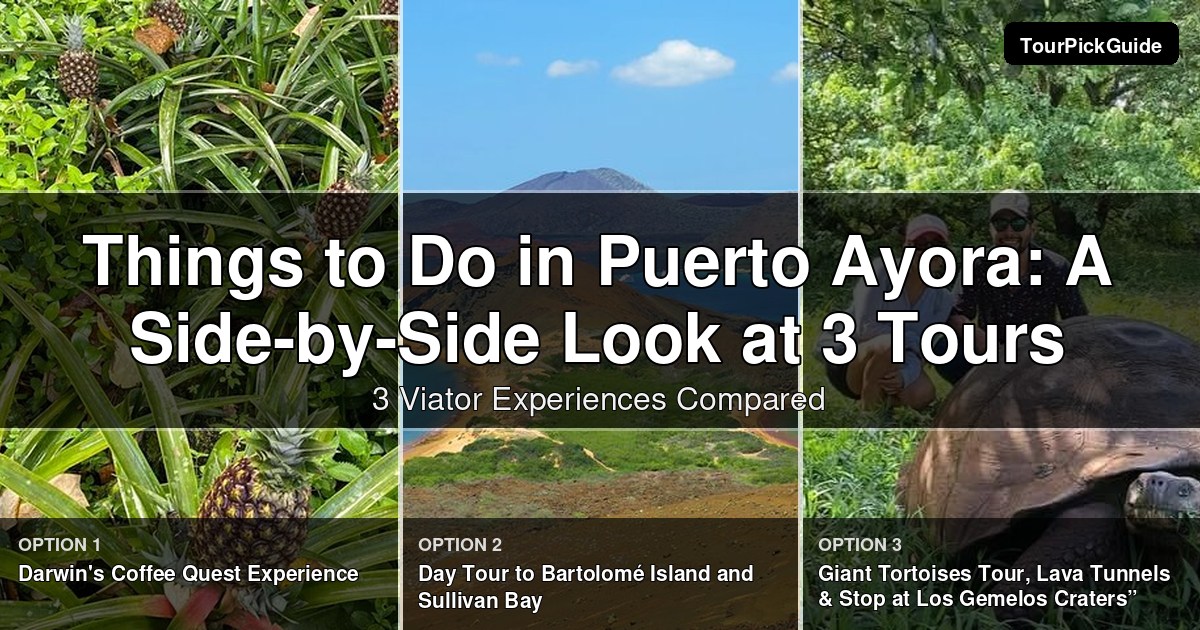things to do in Puerto Ayora – three Viator experiences compared