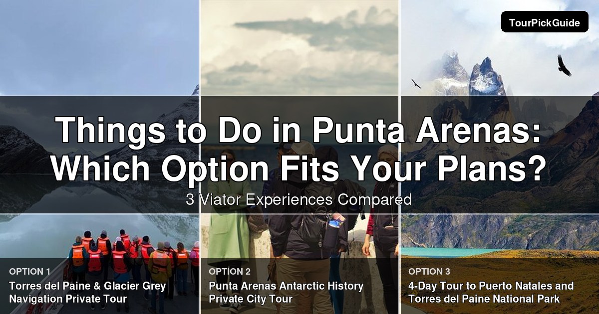 things to do in Punta Arenas – three Viator experiences compared