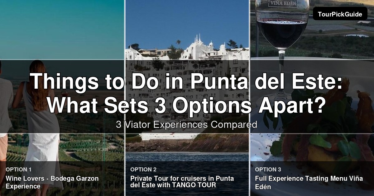 things to do in Punta del Este – three Viator experiences compared